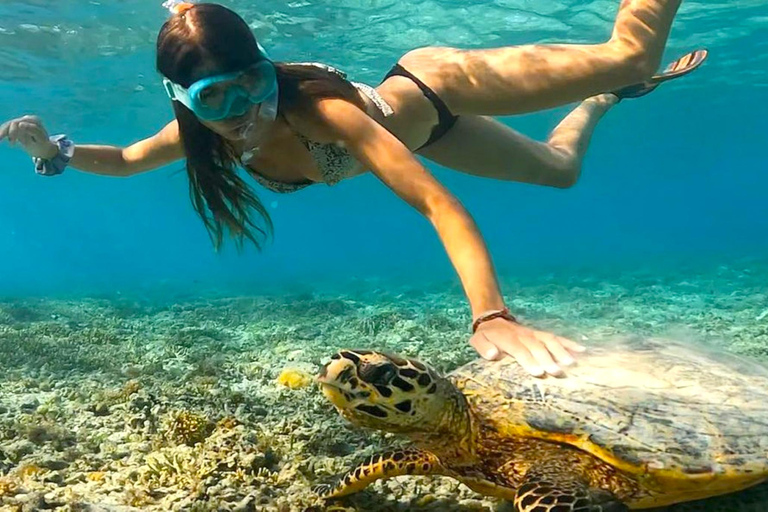 Snorkeling exclusif avec GoPro : Gili Trawangan AdventuresExcursion privée de 4 heures de plongée en apnée avec GoPro