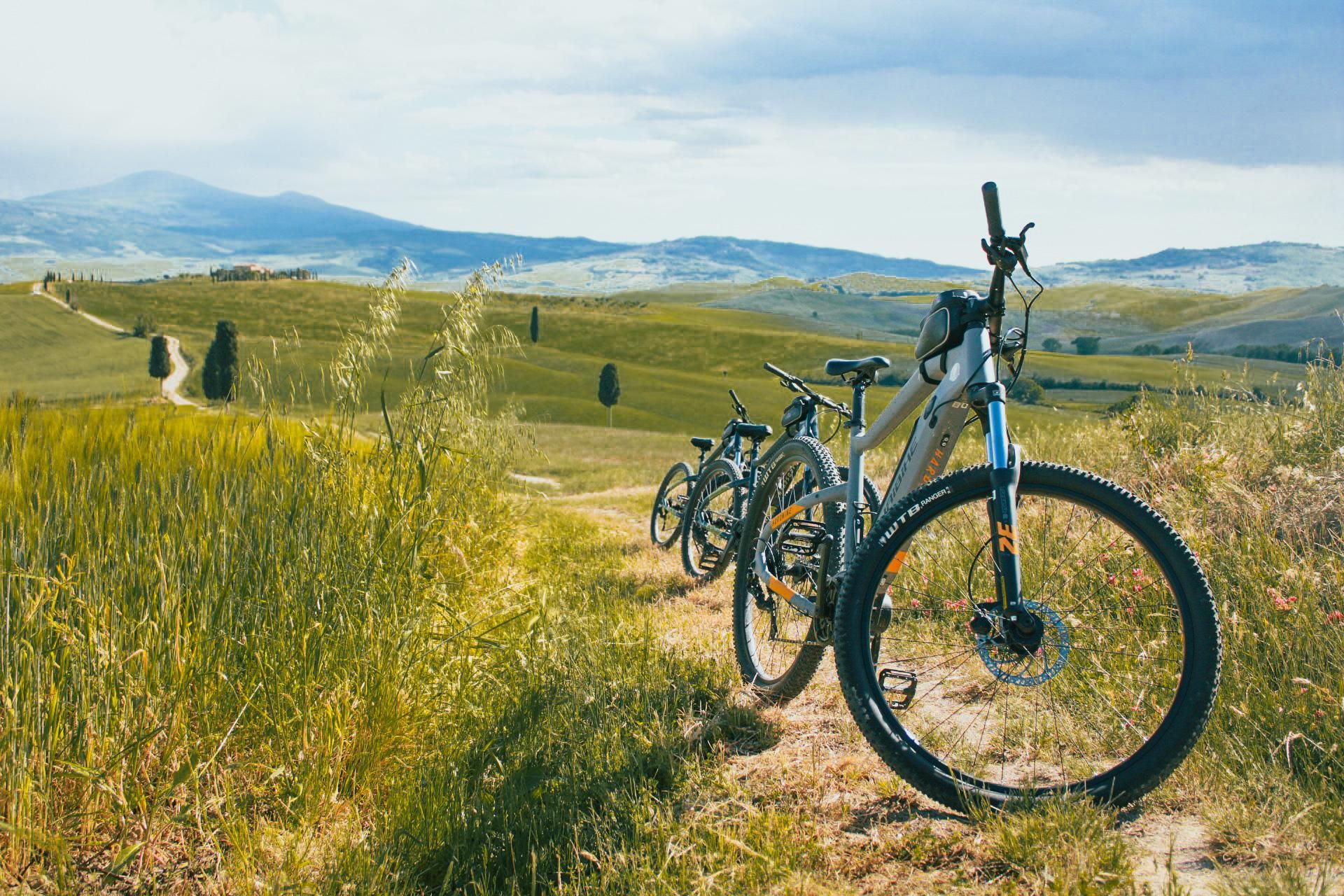 Von San Quirico d'Orcia aus: E-Bike-Tour durch das Val d'Orcia mit Mittagessen