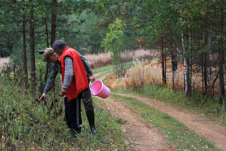 Helsinki: Berry picking with guide & Finnish BBQ + Photos