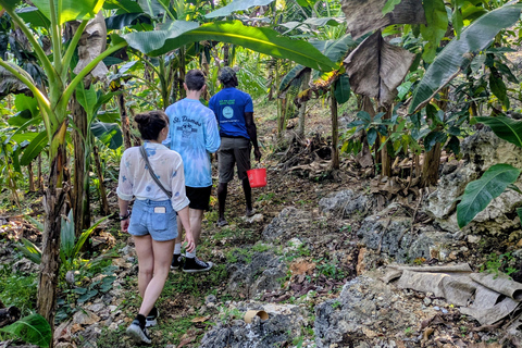 Negril: Jamaican Roots Tropical Farm Tour (2.5 hr w/ pickup)