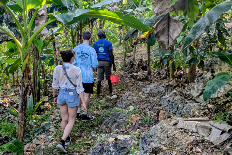 Negril: Jamaican Roots Tropical Farm Tour (2.5 hr w/ pickup)