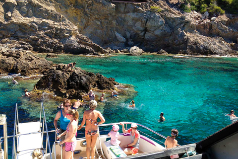 Mallorca: Dolfijn cruisePaguera: Verzamelen bij Playa Tora