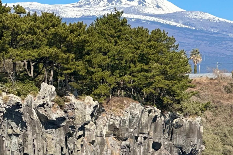 Jeju Small Group Tour incl. Yacht Cruise, Falls & Mt.Halla Jeju Small Group Tour with Yacht Cruise, Falls & Mt.Halla