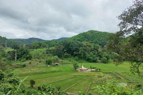 1 Day trekking : Chiang Rai popular activity,Fun in Nature.