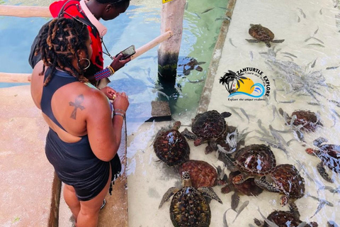 Nungwi: Swimming with Turtles at The Lagoons Zanzibar Hotel Transfers within Nungwi and Kendwa