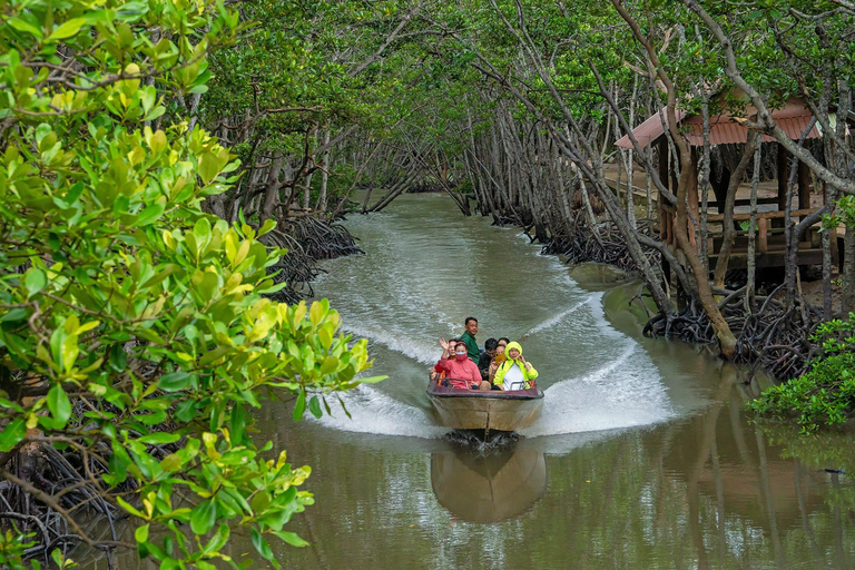 Ho Chi Minh: Explore the mangrove Can Gio forest full day