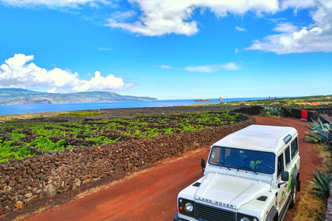 Tour de jipe de 1 dia na ilha do Pico - Açores