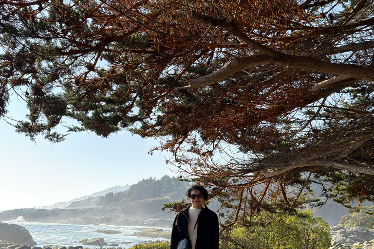 From Santiago: Papudo Horseback Ride & Penguin Watching