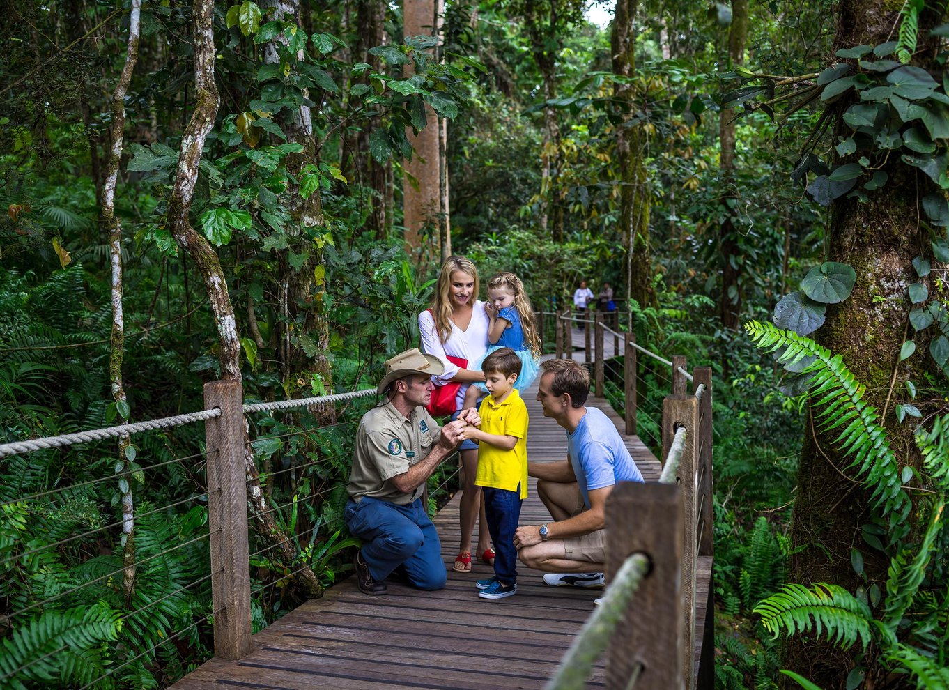 Fra Cairns: Selvguidet Kuranda-tur med tog og Skyrail