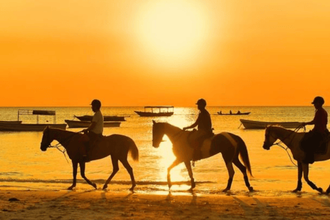 Kendwa: Jungle and Village Sunset Horse Ride From Nungwi: 2 plus pax
