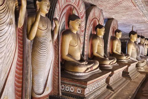 From Colombo: Sigiriya Rock and Dambulla Day Trip and Safari