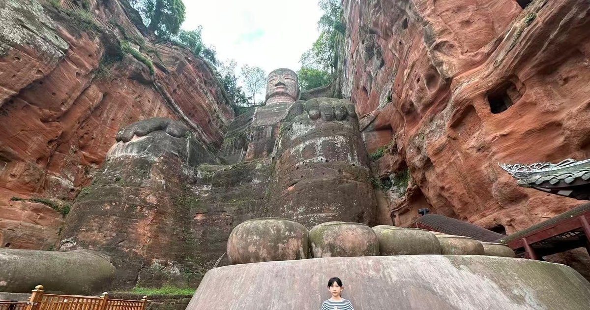 Chengdu: Small group tour to Panda, Buddha & Mount Qingcheng | GetYourGuide