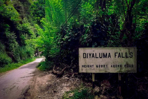 Ella: Tuk Tuk Tour to Diyaluma and Secret Waterfalls