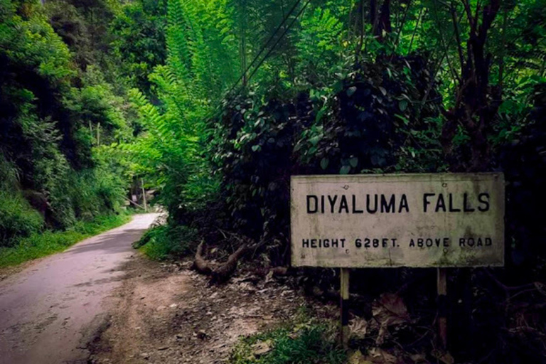 Ella: Tuk Tuk Tour to Diyaluma and Secret Waterfalls