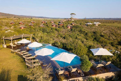 From Cape Town: 2-Day Safari @ 4Star Garden Route Game Lodge Garden route 2-day