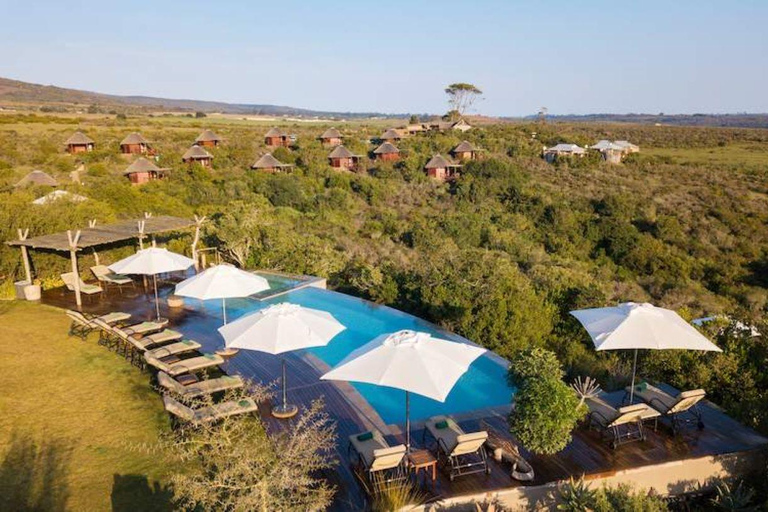 Ab Kapstadt: 2-Tages-Safari in der 4Star Garden Route Game LodgeGartenroute 2-tägig