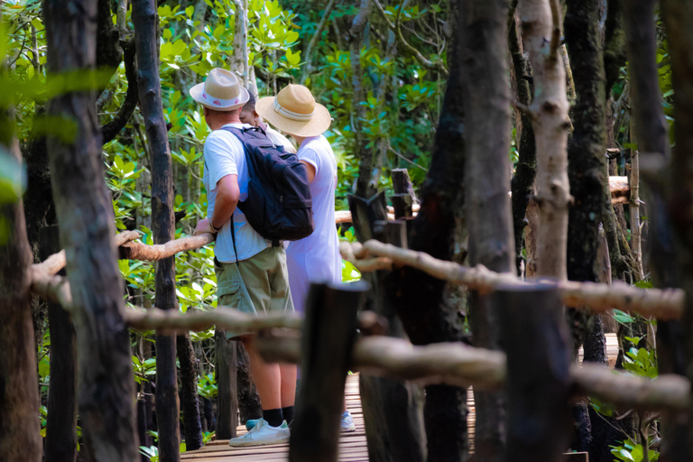 Zanzibar: Jozani forest and Salaam Cave Swim with turtles