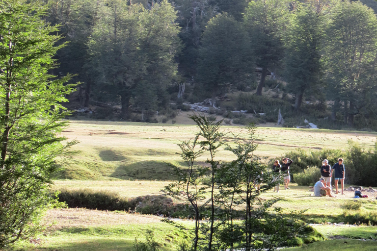 San Martin de los Andes Sightseeing Tour: Mallin Grande