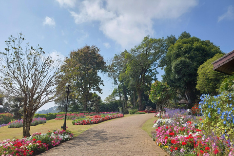Chiang Rai: Mountains Discovery Doi Mae Salong & Doi Tung Mountains Discovery:Doi Mae Salong & Doi Tung (Private Tour)