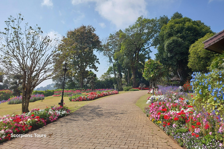 Chiang Rai: Mountains Discovery Doi Mae Salong & Doi Tung Mountains Discovery:Doi Mae Salong & Doi Tung (Private Tour)
