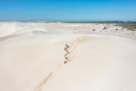 2 Day Pink Lake the Pinnacles &amp; Sand Dunes Coral Coast Tour