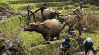 Avventura di Trek Day con guide locali - Housity