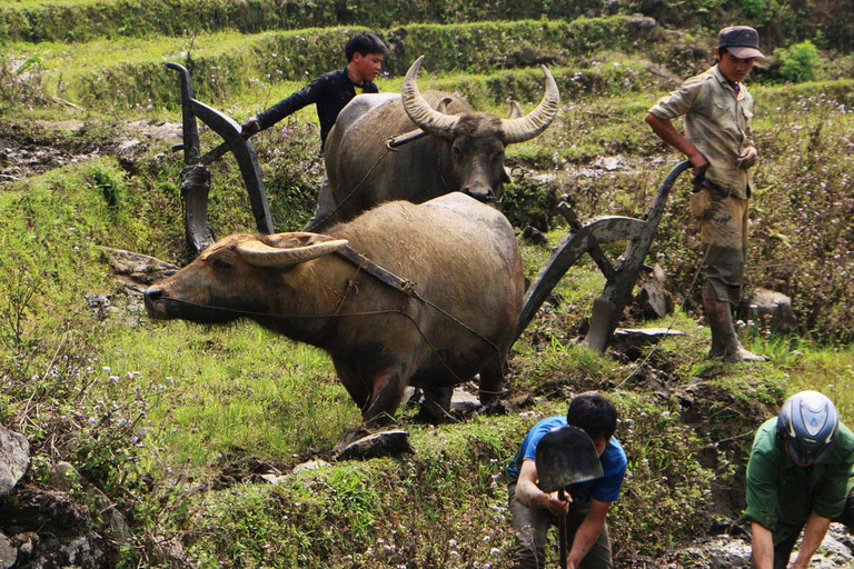 Trekking à la découverte de Sapa avec hébergement culturel en option