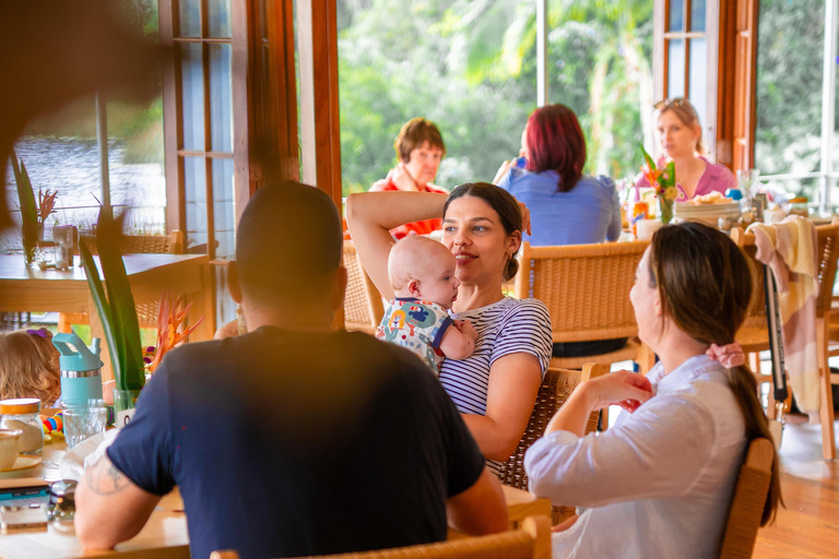Lake Barrine Boat Cruise – Discover Queensland’s Hidden Gem