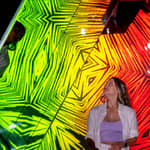 San Francisco:Ripley's Believe It or Not! Combo di 2 attrazioni