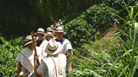Coffee Farm and Santa Rosa Hot Springs from Pereira/Armenia - Housity