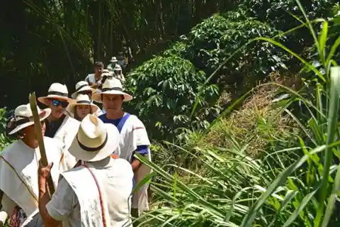 Fazenda de café e fontes termais de Santa Rosa de Pereira/Armênia