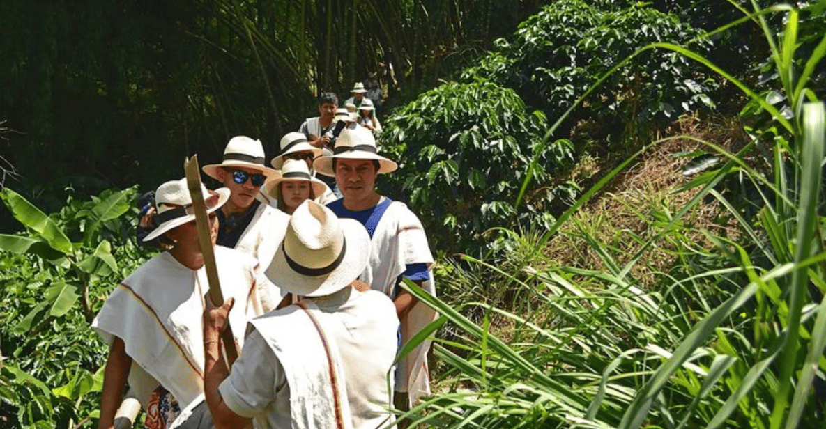 Armenia, Quindio Botanical Garden and Coffee Farm Private Tour 2023