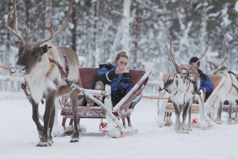 Levi: Reindeer Sleigh Ride and Husky Sled Ride Combo Tour Two different types of sleigh ride with huskies and reindeer