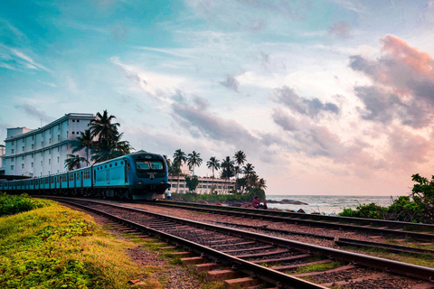 Sri Lanka Tea Estate & Galle Iconic Coastal Train Experience