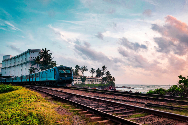 Sri Lanka Tea Estate & Galle Iconic Coastal Train Experience