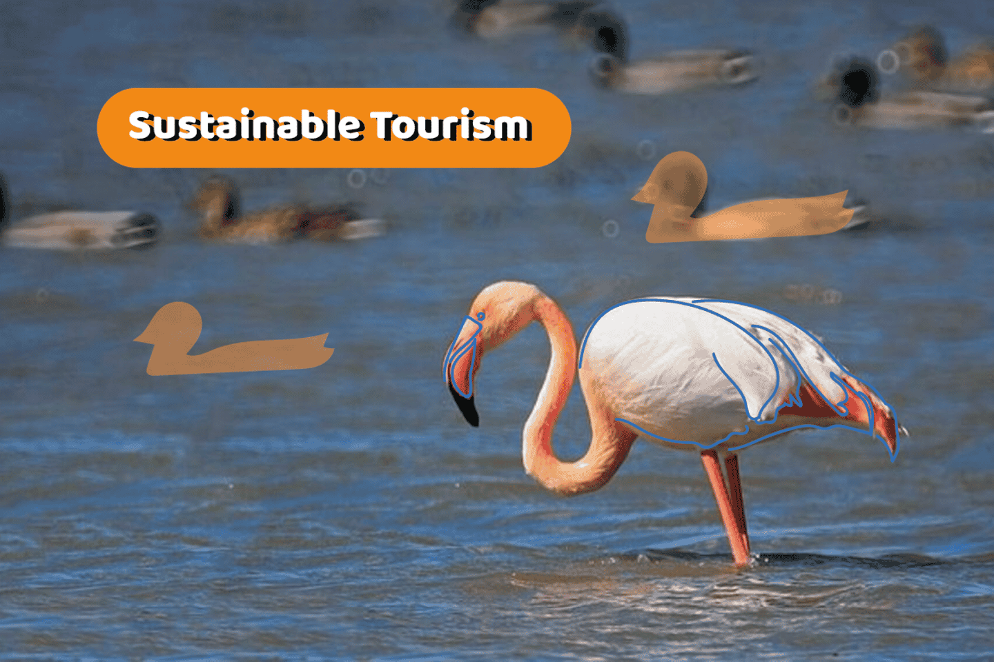 From Valencia: Albufera Natural Park Eco Boat Tour & Sunset