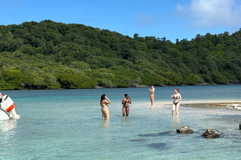 Båtutflykt till Baignoire de Josephine och Îlet Chancel (leguanö)