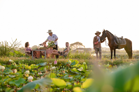 Siem Reap: Horseback Ride with Tour Guide at Phnom Krom (1 hour) Horseback Ride with Tour Guide