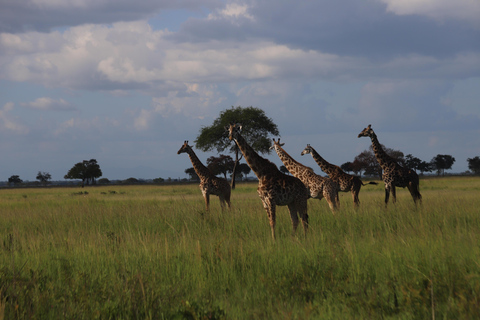 EXPLORE MOUNT MERU IN 3 DAYS FROM ARUSHA & MOSHI TANZANIA Hiking Mount Meru from Arusha or Moshi