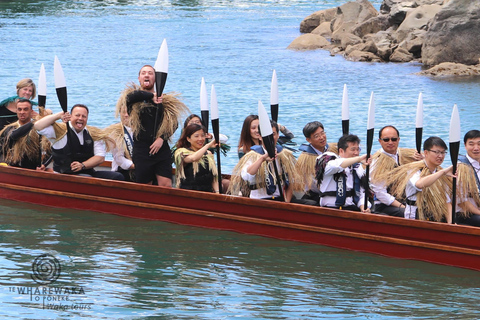 Wellington: Tour guiado em Waka (experiência cultural maori)