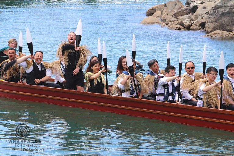 Wellington: Tour guiado em Waka (experiência cultural maori)