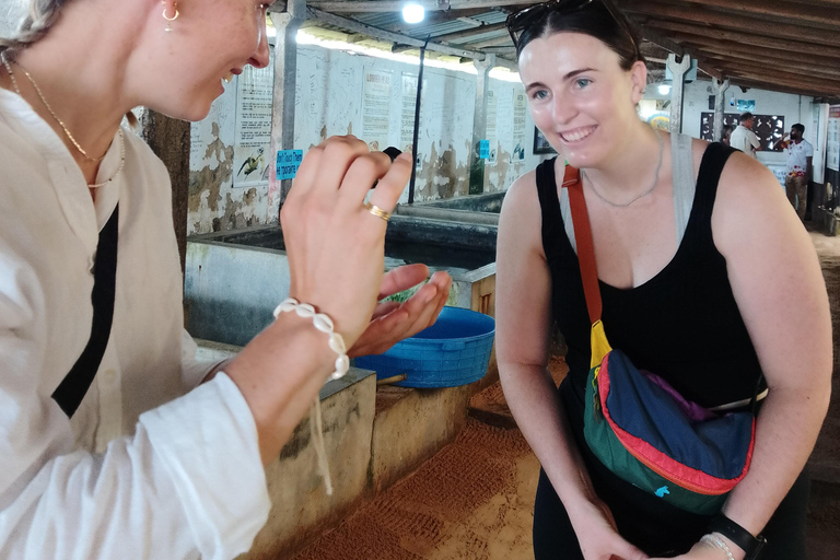 Ontdek de verborgen parels van Galle en eet met localsOntdek de verborgen parels van Galle en de kunst van het lokale dineren
