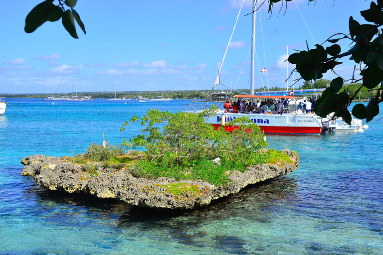 Punta Cana: Saona without the Crowds – 4-Beach Speedboat Sightseeing Tour and Lunch