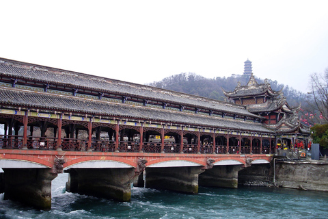 熊猫基地/乐山大佛/多景点之旅乐山大佛风景区和熊猫基地一日旅行