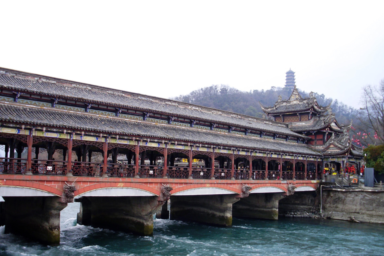 熊猫基地/乐山大佛/多景点之旅乐山大佛风景区和熊猫基地一日旅行