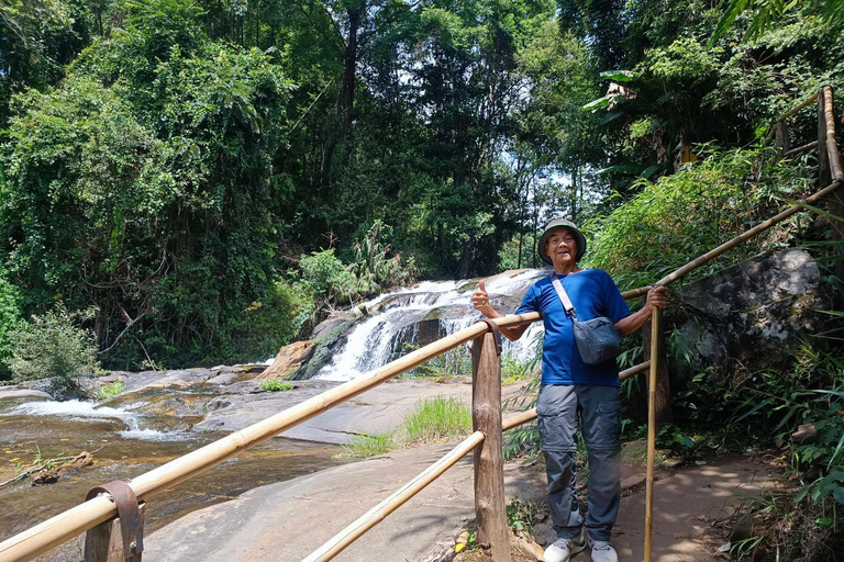 Chiang Mai: Doi Inthanon National Park & Elephants Sanctuary