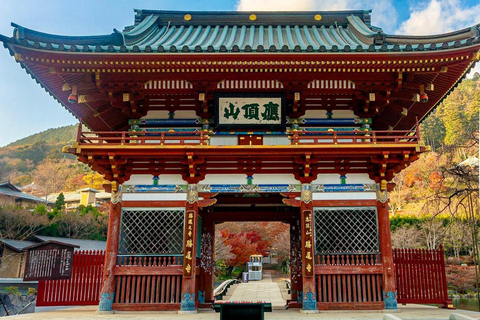 Tour privato di 3 giorni con guida in inglese a OSAKA, KYOTO e NARA,