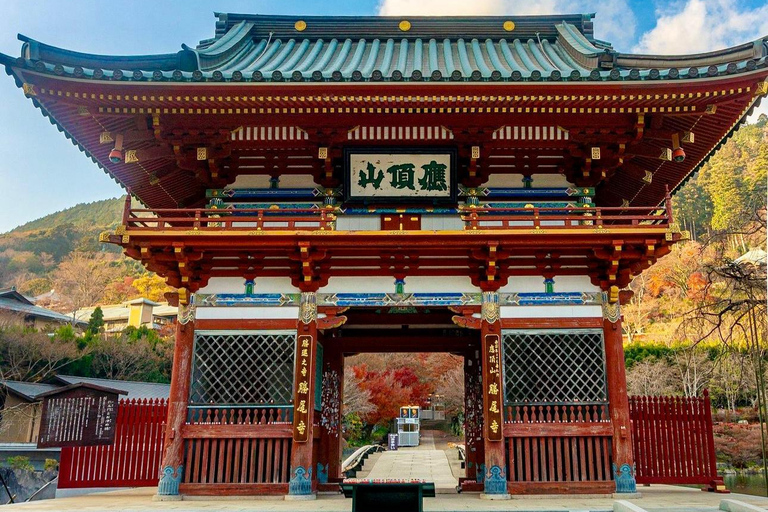 Tour privato di 3 giorni con guida in inglese a OSAKA, KYOTO e NARA,