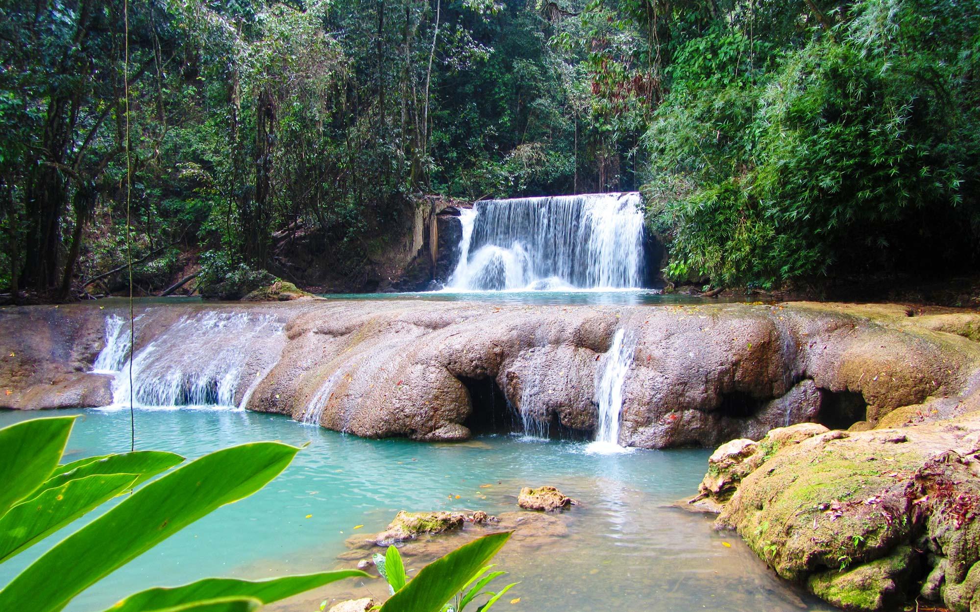 Floyd's Pelican Bar, Ys Falls und Black River Safari Tour