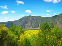 From Naples, Mount Vesuvius Transfer with Entry Tickets - Housity